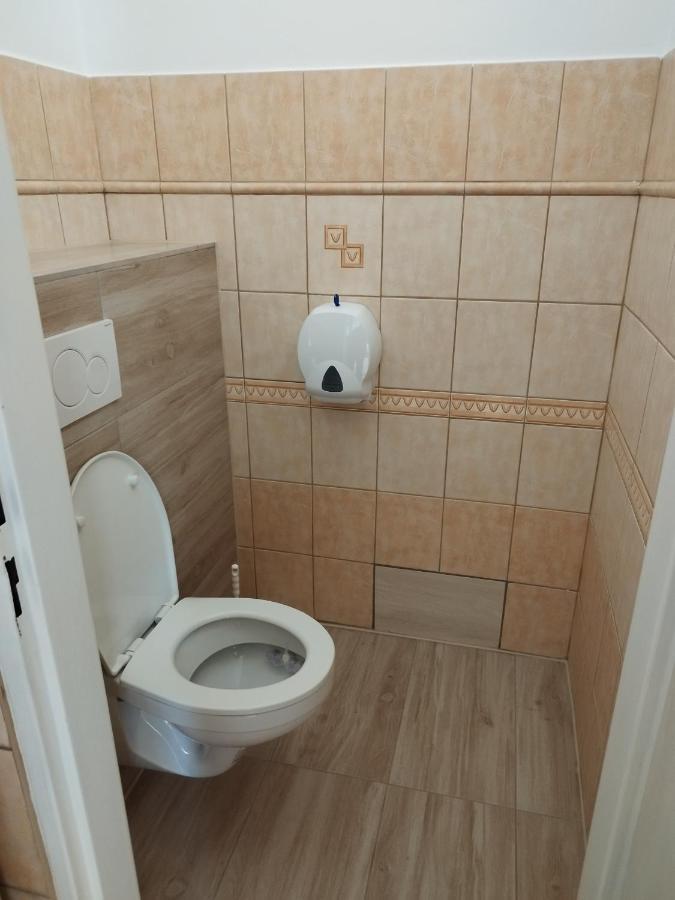 Ubytovanie Vo Dvore Badin Exteriör bild